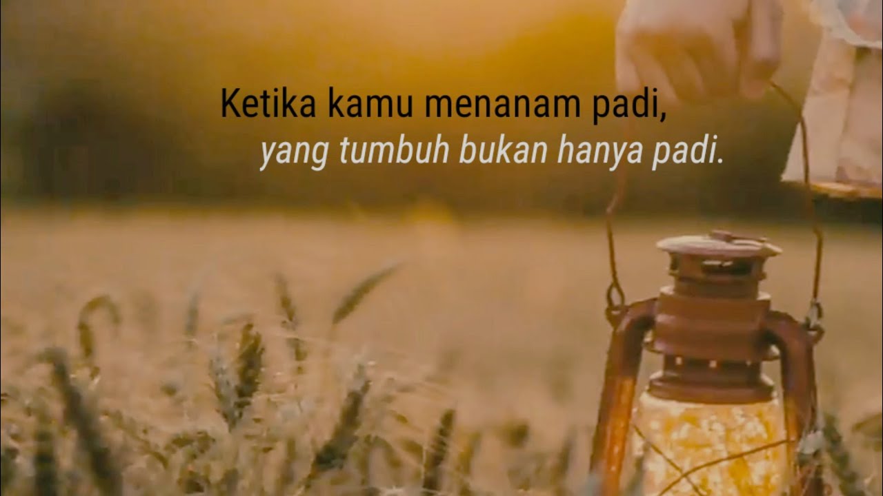 Ketahuilah, ketika kamu menanam padi, bukan hanya padi yang tumbuh