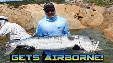 MONSTER Barracuda Air strikes a GT popper!
