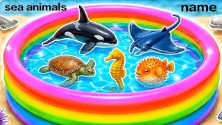Kids Learn Ocean Animals For Children Unique Sea Animals Name, Toyreal