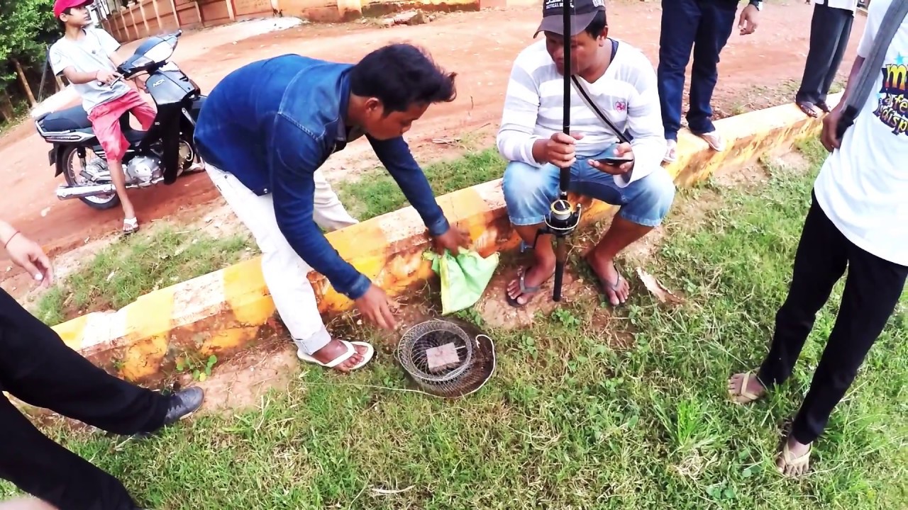 Fishing Snake Head Fish in Siem Reap River Angkor Land​ 23-Sep-16