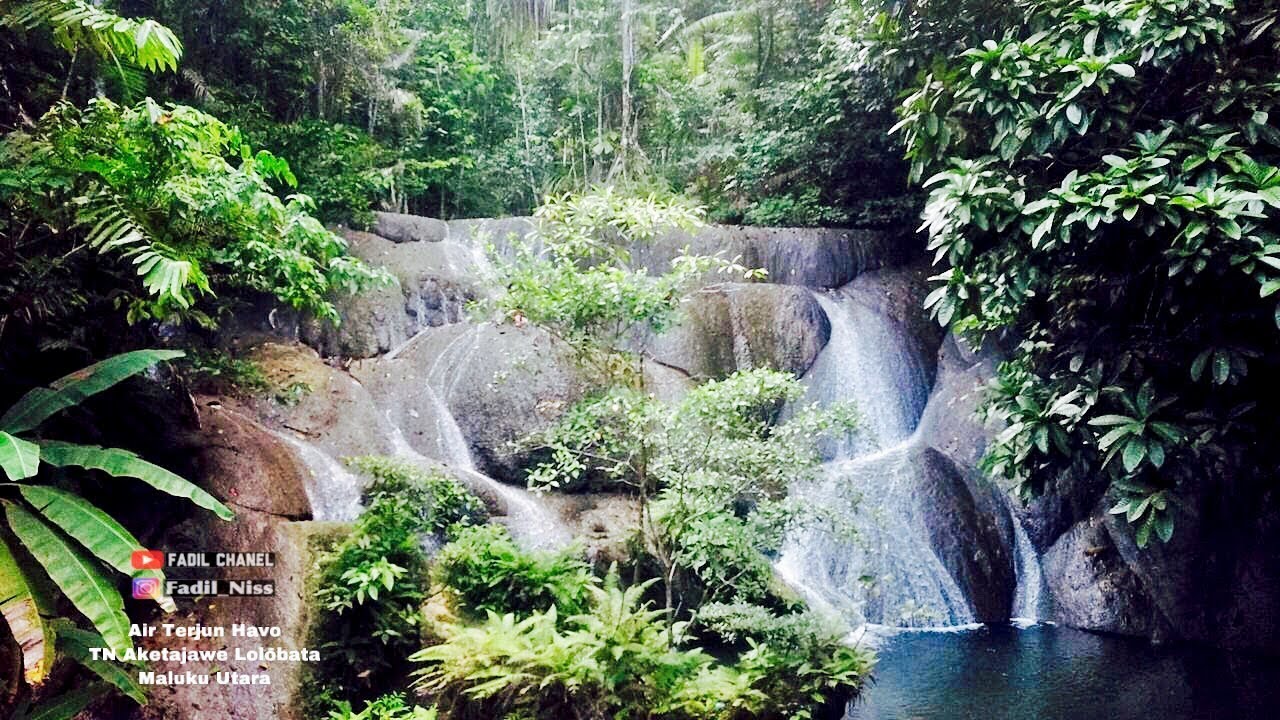 Road Camp Ii Taman Nasional Aketajawe Lolobata Maluku Utara