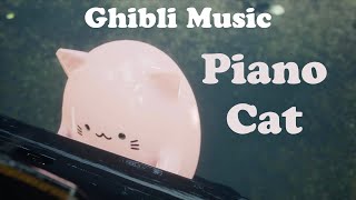 Bongo Cat - style Piano Cat, Ghibli Piano Music | My Neighbor Totoro Piano Cover with Fall Guys
