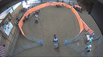 Big Sky Ranch Sorting Saddle Series #3 - Beginner Sort - Round #1 - Ride #3