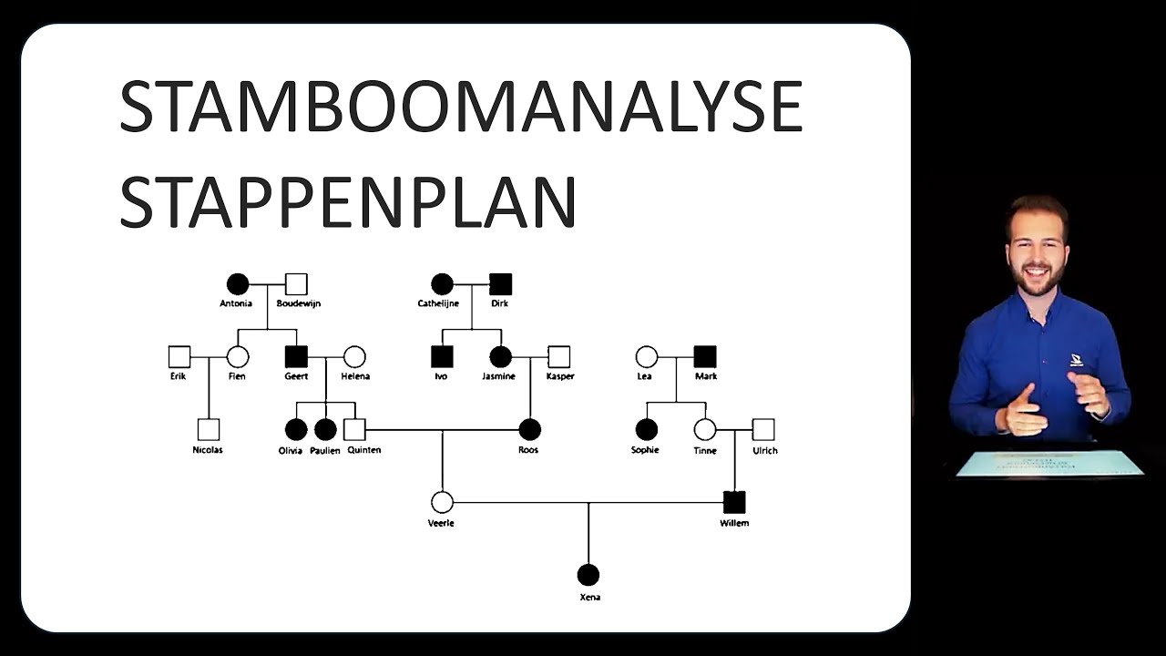 Stamboomanalyse - Stappenplan | Toelatingsproef Geneeskunde