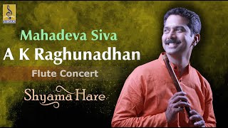 Mahadeva Siva | a flute concert by A.K.Raghunadhan | Shyama Hare