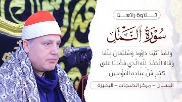 الشيخ حجاج الهنداوى يبدع فى تحبير قصة سليمان وملكة سبأ (سورة النمل) | البستان دلنجات بحيرة 12 2 2025