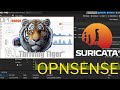 Тонкая настройка Suricata в Opnsense ч. 2