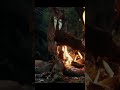 Slow Roasting Fish on a Plank - Alone in the Wilderness 8 vol 4