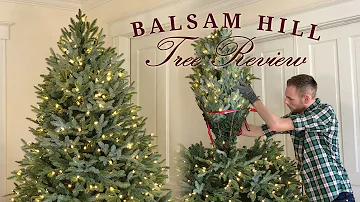 Are Balsam Hill trees toxic?