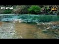 1 Hour Forest River ASMR 🌿 Relaxing Stream Sounds & Green Jungle Ambience for Deep Sleep