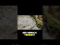 Diese Felsen haben die Eiszeit überlebt und mehr!