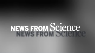 Uncovering the Legacy: The Story of Hanson Summers and Catoctin Furnace | #scienceeducation #science