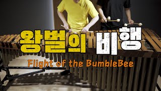 Flight of the Bumblebee Marimba Cover