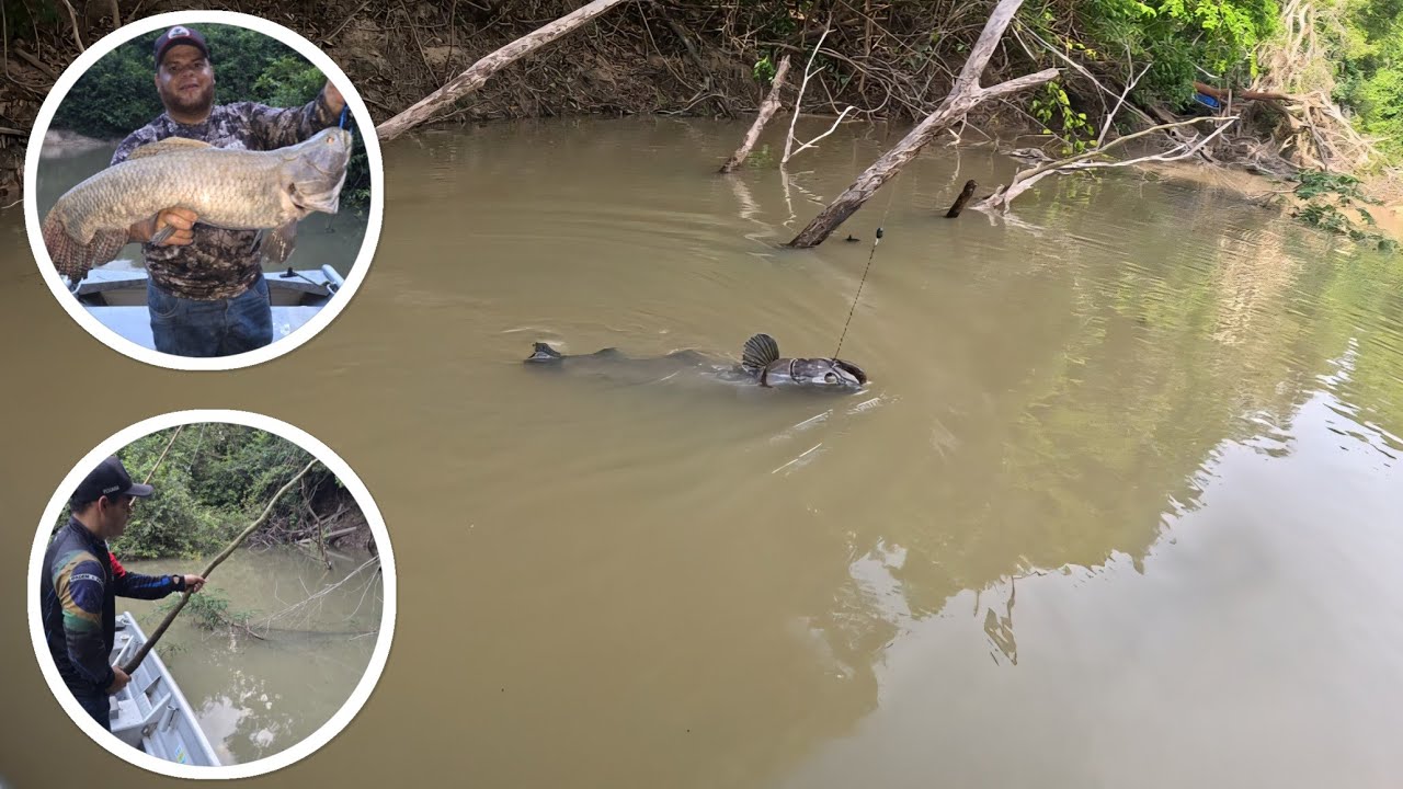 Amanheceu chovendo muito na toca do Sapo, Levei um varejão e eles não Tiveram chance.