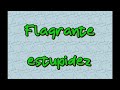 Flagrante estupidez / Fender Telecaster