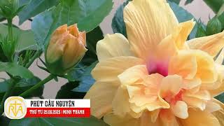 Phút Cầu Nguyện, Thứ Tư 25/06/2025:  Bài ca của ông Môsê