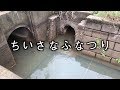 水路で魚釣り 極小フナを釣りたい!micro fishing