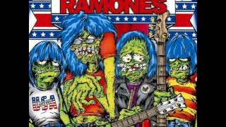 03. Eddie Vedder & Zeker - I Believe In Miracles (A tribute to Ramones)