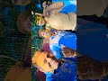 Juge ji holi song | Holi celebration with friends 2026 #trending #viral masti