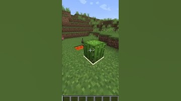 MY NETHERITE SWORD 😭😭 || #shortsfeed #youtubeshorts #shorts