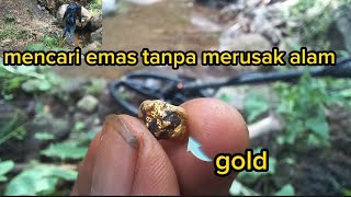 petualangan mencari emas dengan metal detektor di alam liar part 28