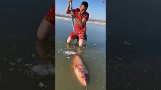 Why Do People Break Ice to Catch Fish? 😲🐟 #facts #ytshorts #trending