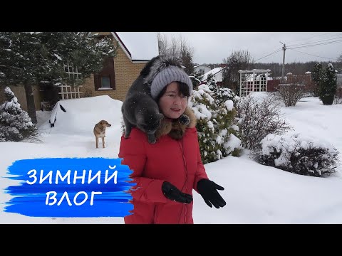 Нас ЗАМЕЛО! Чистим снег, утепляем крышу, спасаем ели Коника из магазина! Зимний ВЛОГ.