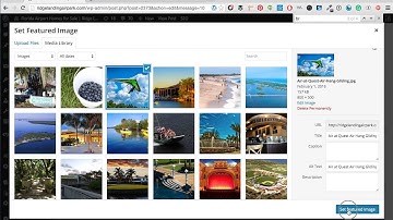 From Publish To Promotion A WordPress Blog Guide Step by Step