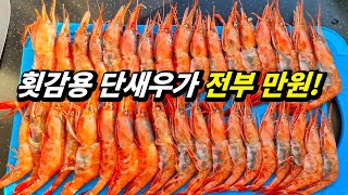 A paradise for cheap and fresh seafood! Samcheok, Korea Dawn Fish Market