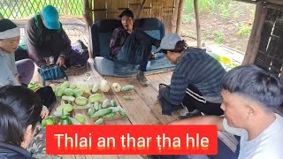Download lagu Ṭawihkhan zauva Lo neitute leh a chheh vel. Mualcheng South.