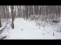 Honda Pioneer 700 Ride Through The Snow