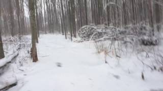 Honda Pioneer 700 Ride Through The Snow by Erik Asquith 2,493 views 7 years ago 3 minutes, 14 seconds