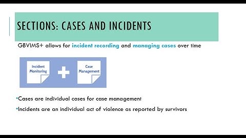 GBVIMS+: Cases and Incidents