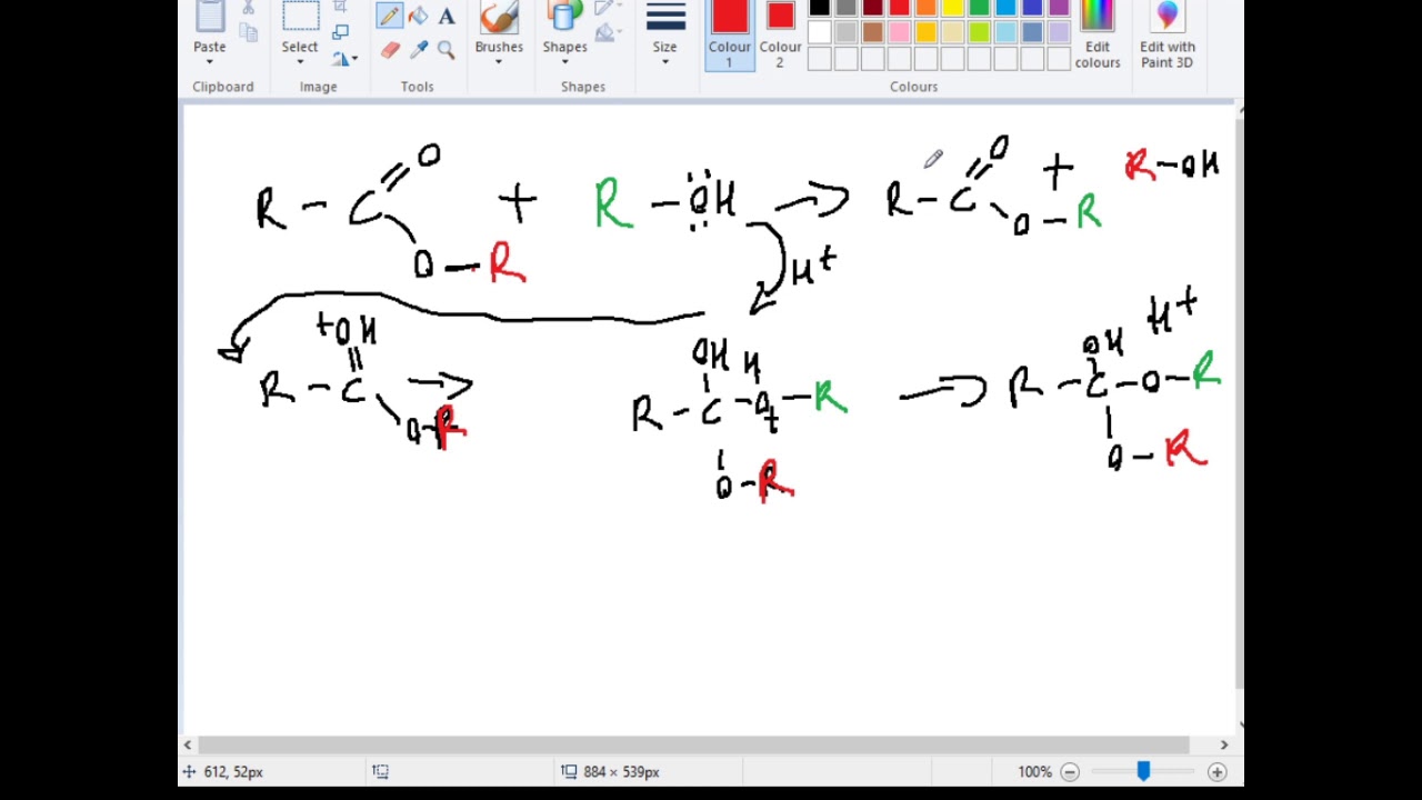 Chimica organica provo a fare la transesterificazione YouTube