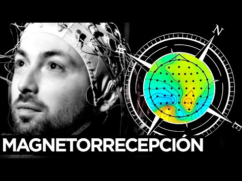 Video: ¿Podemos vivir sin un campo magnético?
