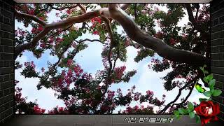 Tree of Life Suite (Figlia del Cielo) - Royal Philharmonic Orchestra,Roberto