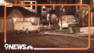 Judge rules to extradite Colorado Springs mom accused of killing her 2 kids