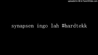 synapsen ingo lah #hardtekk Resimi