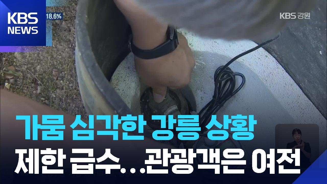 가뭄 취재 현장