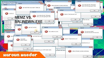 [Crazy Experiment] Running MEMZ and Salinewin.exe at the same time on Windows 7!