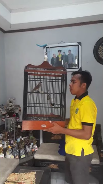 Trucukan termahal syaiful majid duta KTJ Jepara