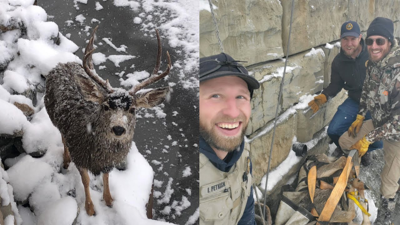 Deer Stranded on Frozen Lake Rescued in Miraculous Crane Rescue
