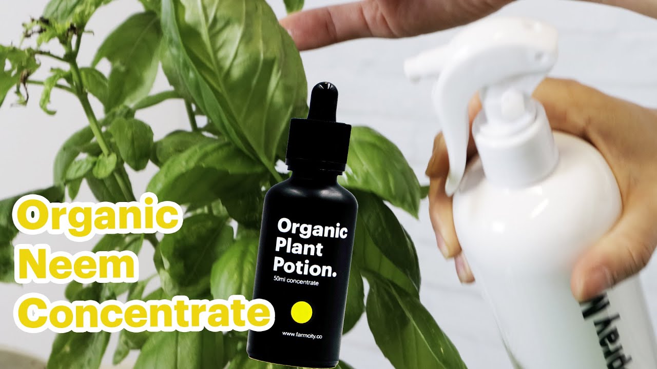 Organic Neem Concentrate