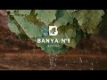 Banya No.1 | Hot, Cold, Rest, Repeat