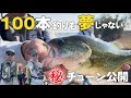 【100本釣りも夢じゃない！？】釣れる2つの厳選チューン公開