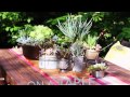 Ideas for Planting Succulents from Lowe's Ideas for Planting Succulents from Lowe's