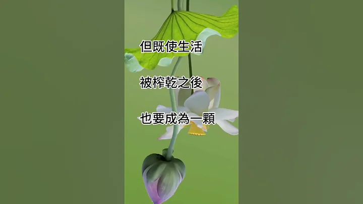 使生活被榨乾之後也要成為一顆甜美的葡萄乾！ 拾穗之悅～2023年7月15日 - 天天要聞