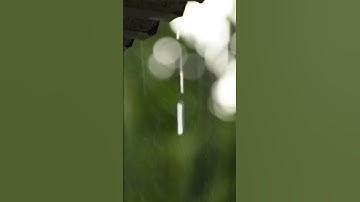 سورة النصر#قران_كريم  #ماهر_المعيقلي