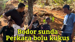 Bodor Sunda Wa Doyok Ngamuk Parah