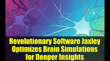 Revolutionary Software Jaxley Optimizes Brain Simulations for Deeper Insights